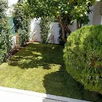 Summer بيت شباب